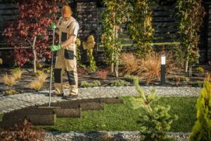 landscaping